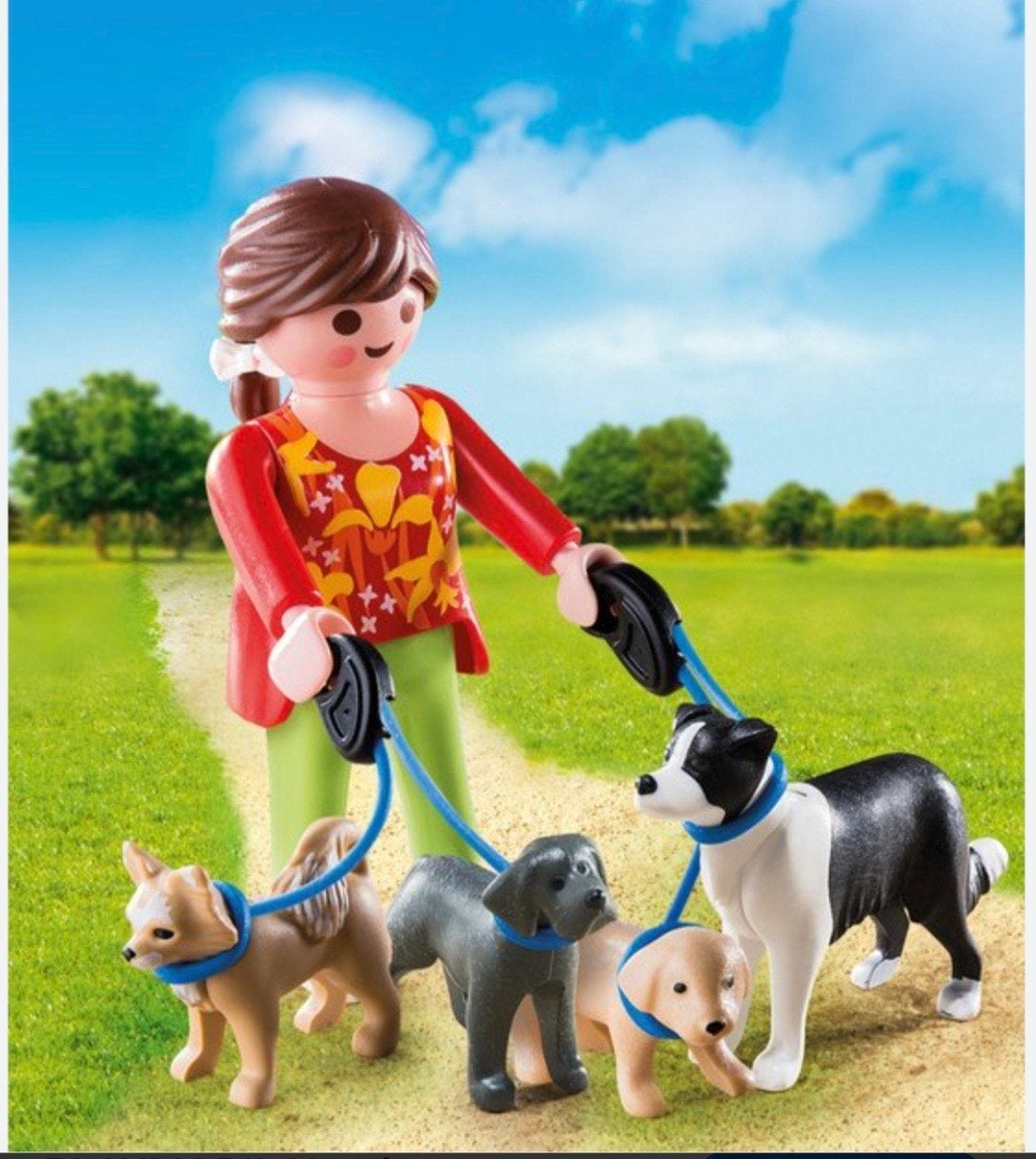 Honden oppas, Ophalen, Hond
