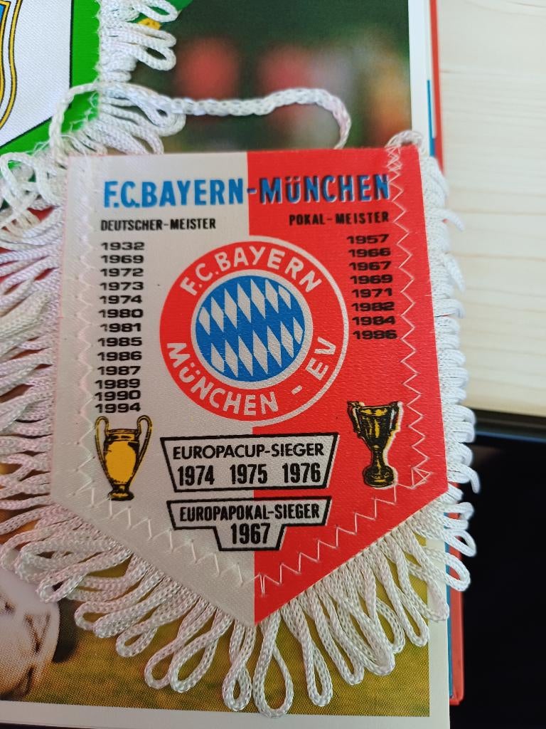 De wereld van voetbal in 16 hoofdstukken tot 1994, Ophalen, Zo goed als nieuw, Boek of Tijdschrift