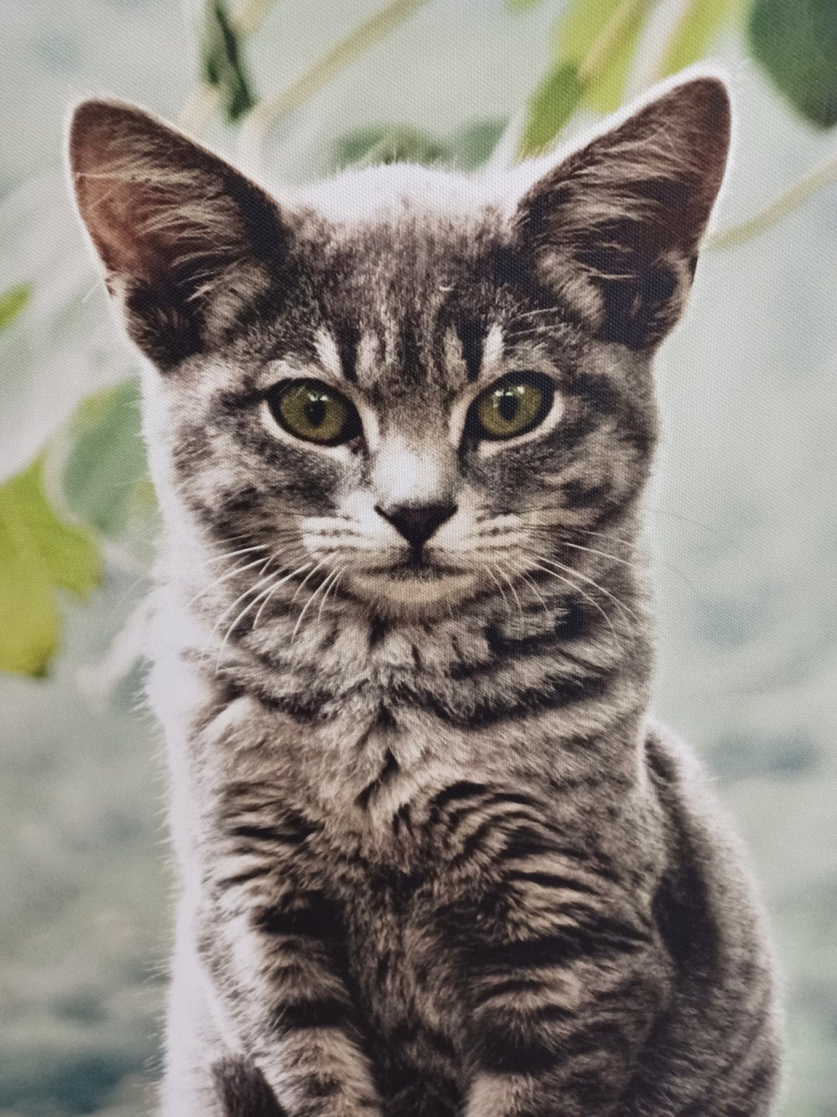 Canvas, schilderij, afm 80x60cm, poes, kat, Ophalen, Zo goed als nieuw, Schilderij
