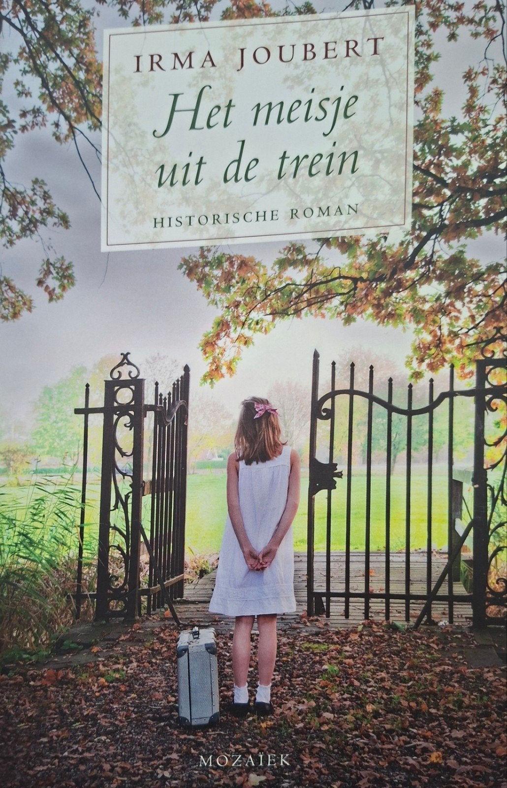 Irma Joubert - Het meisje uit de trein, Ophalen of Verzenden, Gelezen, Irma Joubert