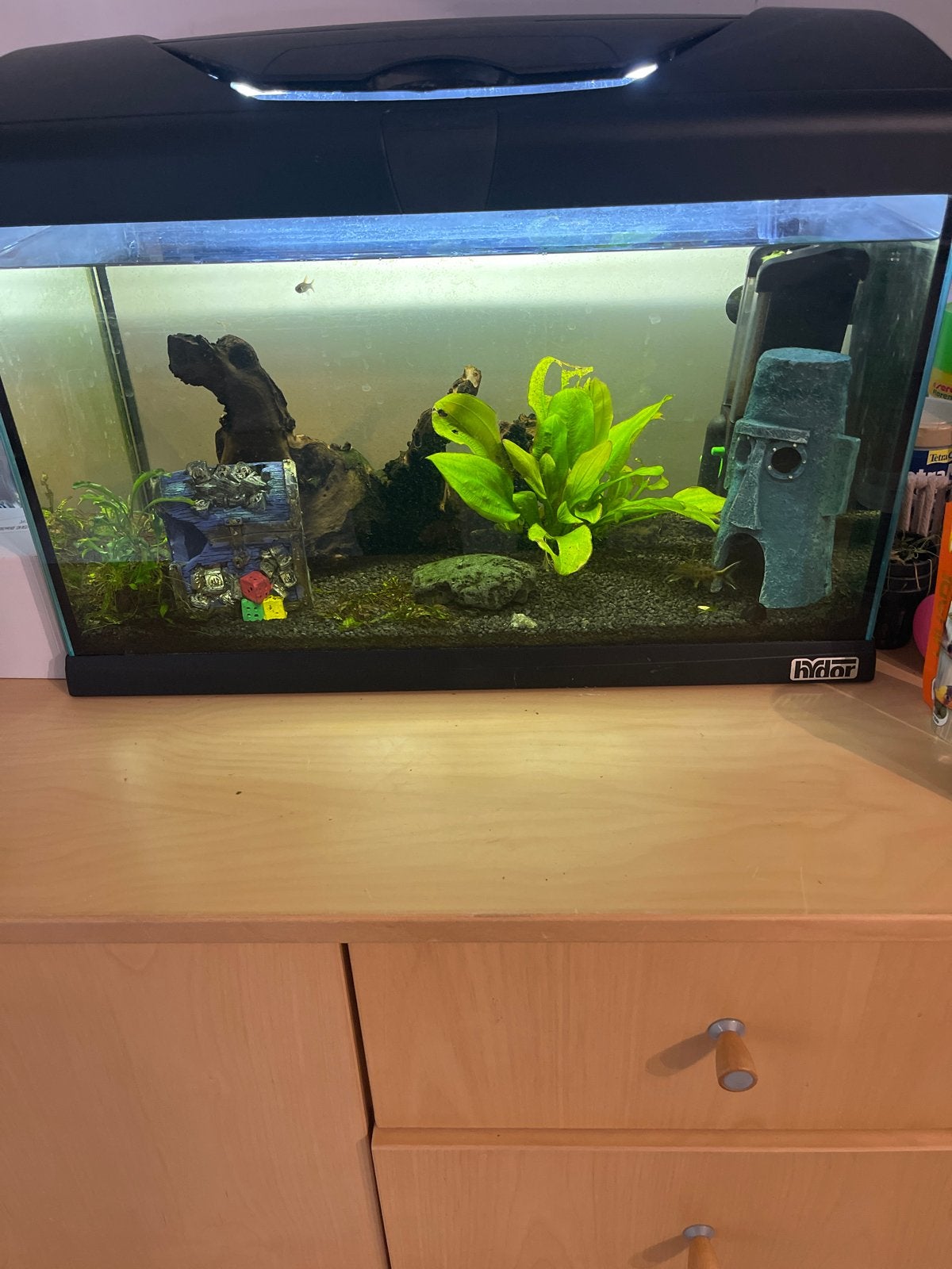 Klein aquarium voor kinderen, Ophalen