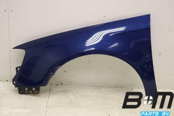 Spatscherm links VW Passat B6 LC5E 1, Gebruikt