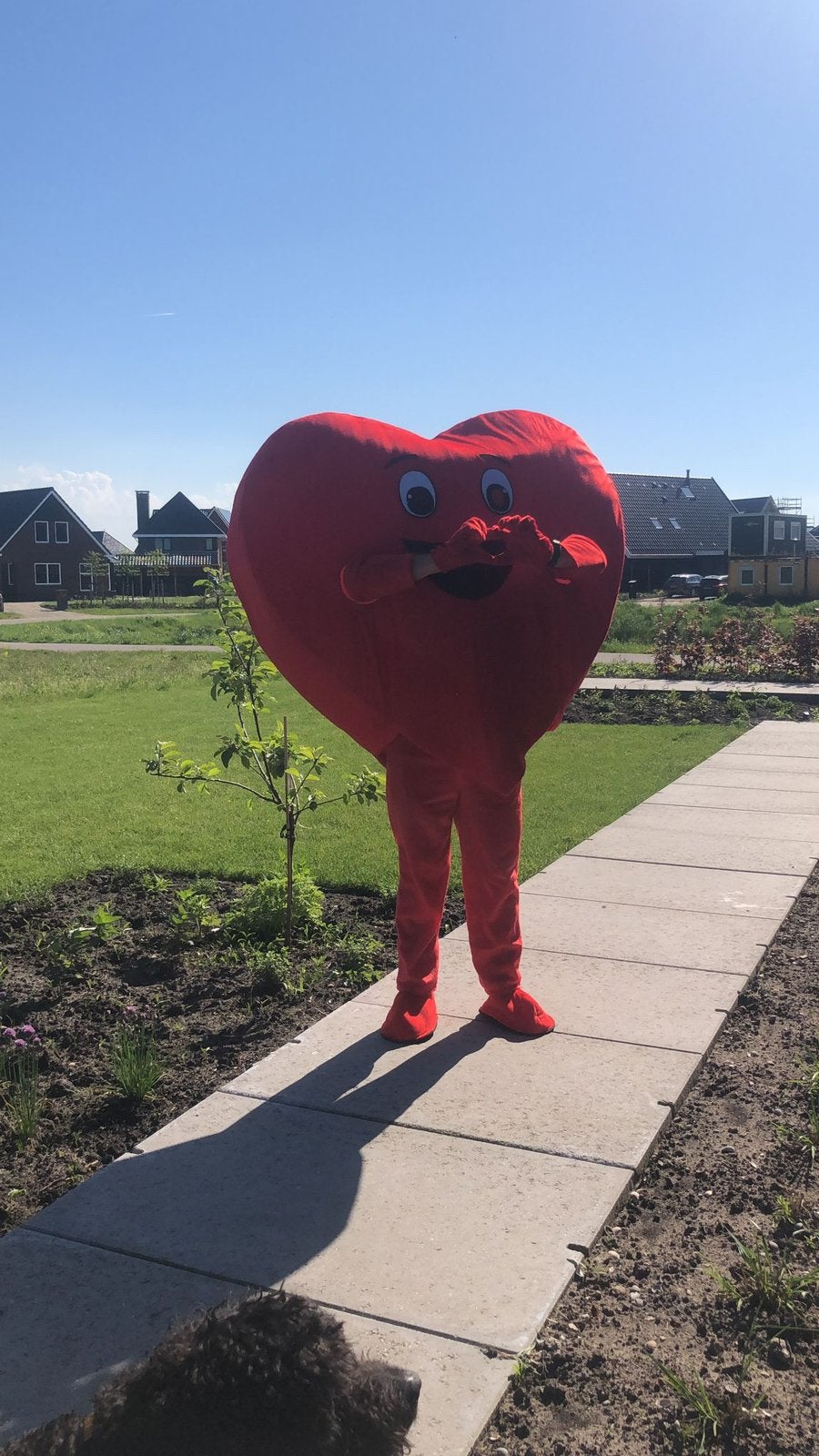Groot Hart pak huren - trouwerij / aanzoek, Ophalen, Zo goed als nieuw, Valentijn of Romantisch