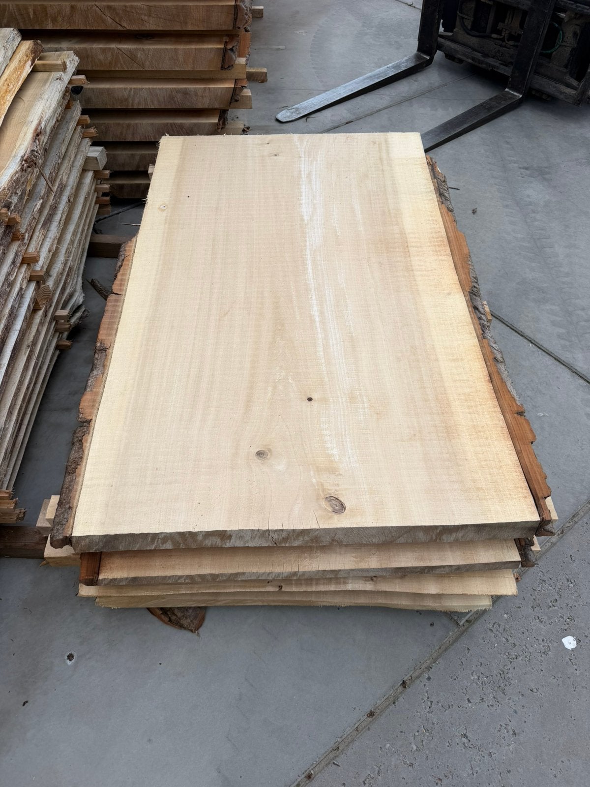 Grote boomstambladen 140x90x7 cm, Ophalen, Zo goed als nieuw, 250 cm of meer, Palen