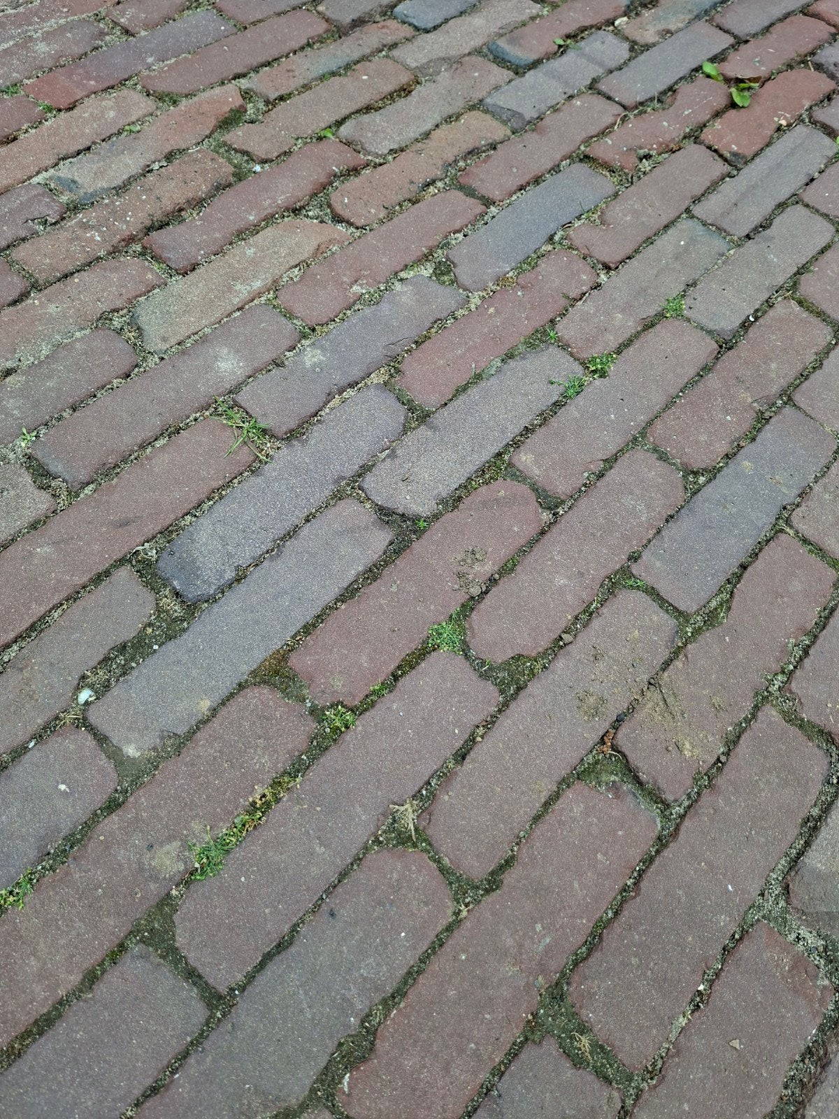 Oude gebakken waaltjes op pallets rood 30m2, Ophalen, Gebruikt, Keramiek, Klinkers
