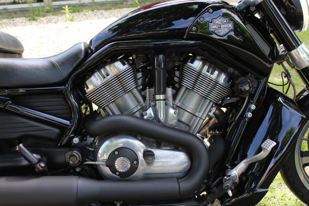 Harley-Davidson VRSC V-Rod VRSCF V-rod Muscle, Motoren, Motoren | Harley-Davidson, Chopper, Bedrijf, Meer dan 35 kW, 1247 cc