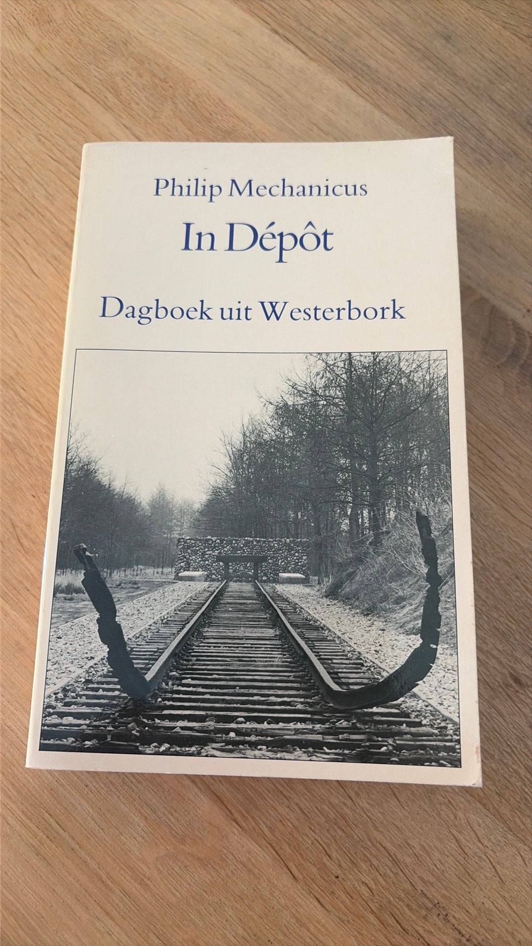 In Dépôt; Dagboek uit Westerbork - Philip Mechanicus, Ophalen of Verzenden, 19e eeuw, Gelezen