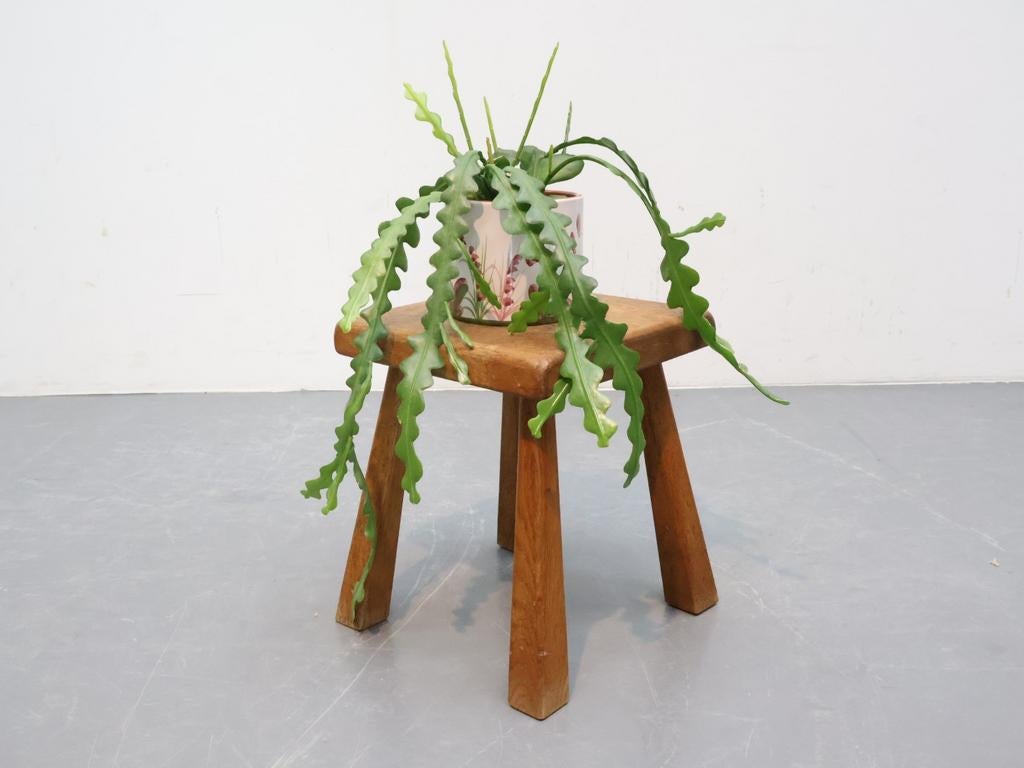 Vintage plantentafel | Massief eikenhout, Gebruikt, Minder dan 50 cm, Ophalen of Verzenden, Vintage, Mid-century Modern
