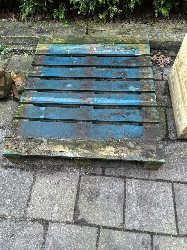 Pallet, Ophalen of Verzenden, Gebruikt, Hout