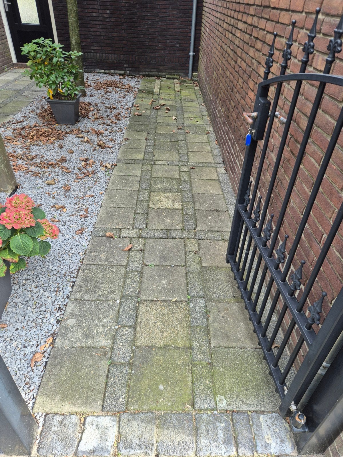 Gratis op te halen: Tegels en klinkers (ca. 16.8 m²), Tuin en Terras, Ophalen, Gebruikt, Klinkers, 10 m² of meer
