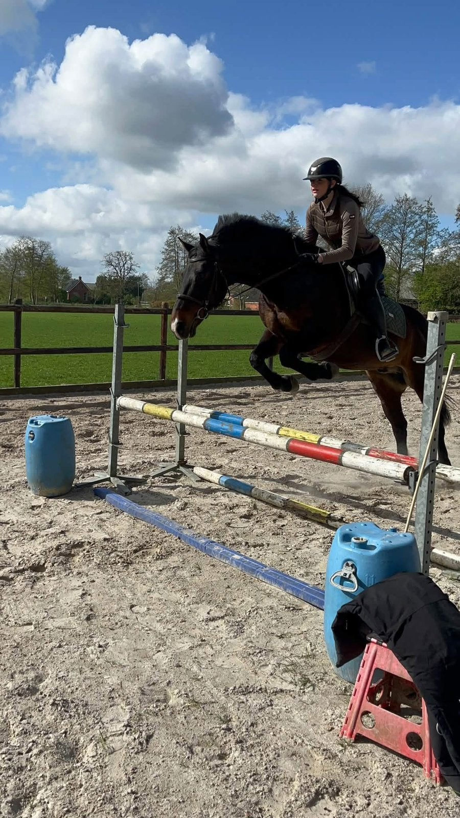 Verzorger/bijrijder aangeboden!, Toebehoren, 1 paard of pony