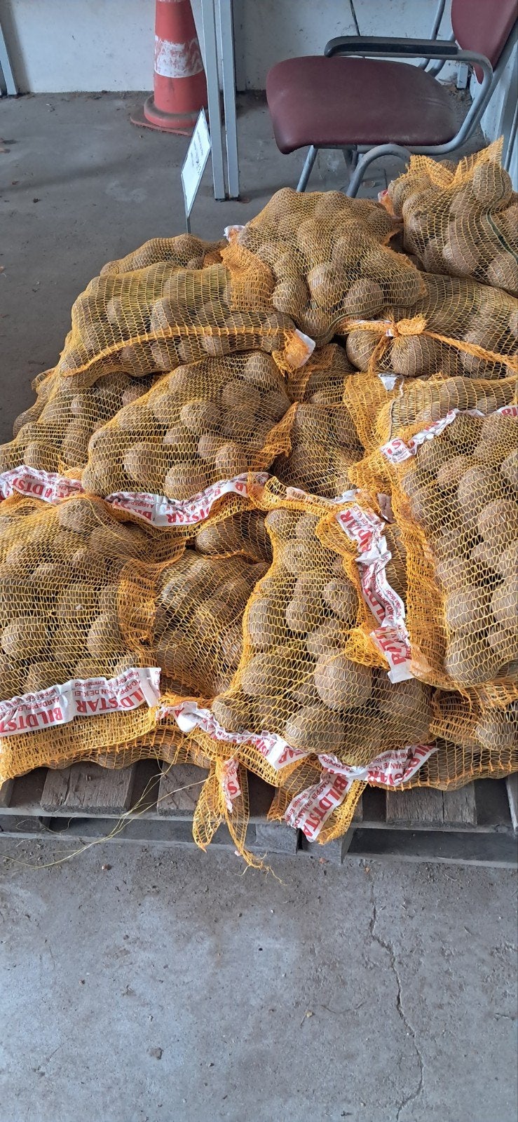 Mooie Bildtstar en Frieslanders oogst 2025 Gratis 1  kg uien, Ophalen
