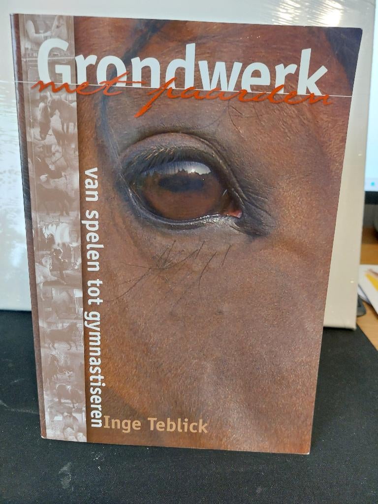 Grondwerk Van spelen tot gymnastiseren Inge Teblick, Ophalen of Verzenden, Zo goed als nieuw, Paarden of Pony's