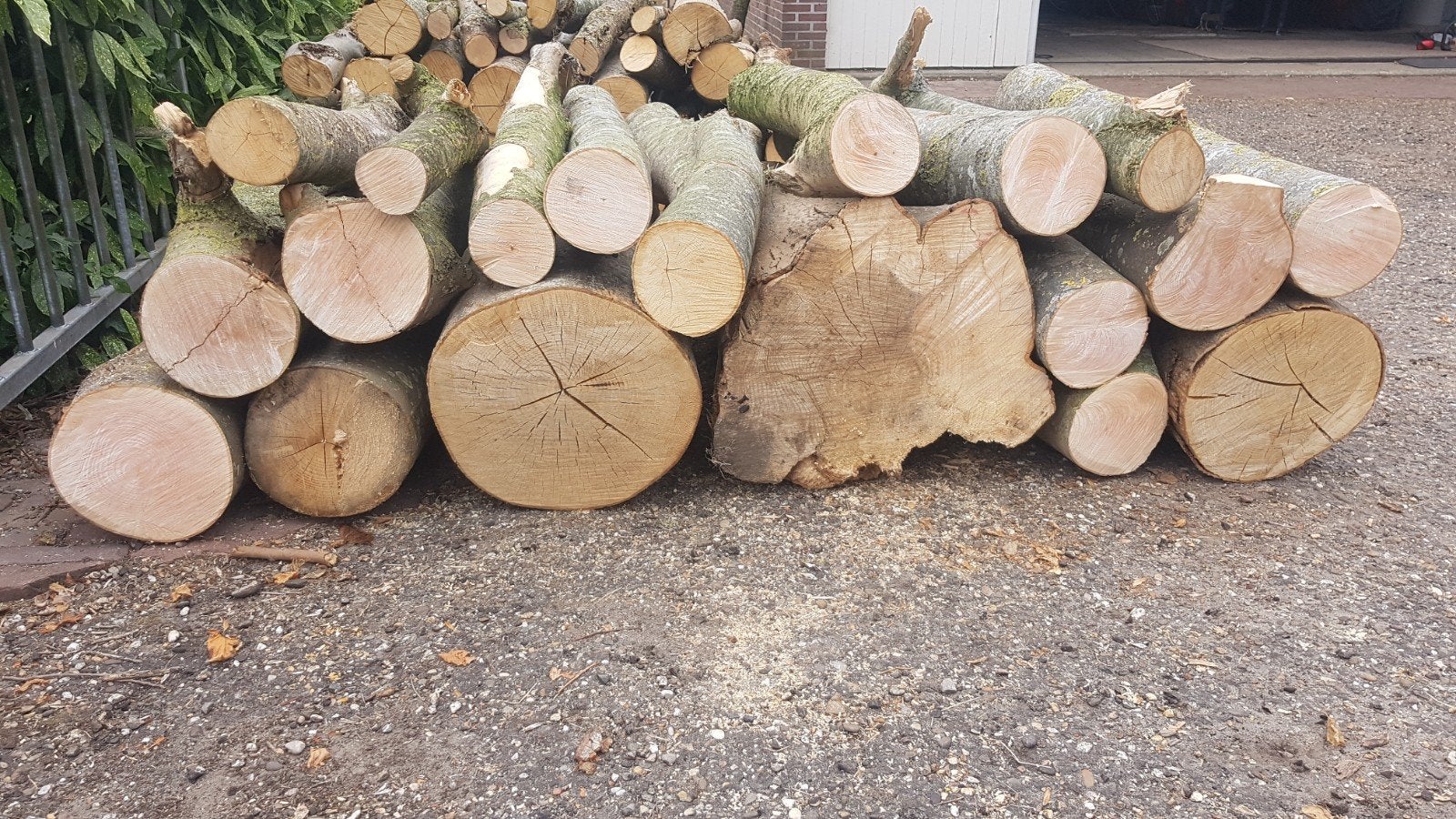 Haardhout ruim 1kuub essen, Tuin en Terras, Haardhout, Minder dan 3 m³, Ophalen
