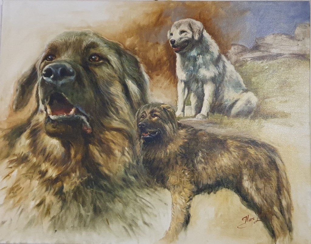 Drie honden van bekende kunstschilder Marc Lamers, Ophalen, Doek, Realistisch, Dieren