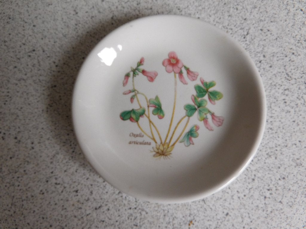 Bord 11 cm. Oxalis Made in England, Overige merken, Ophalen of Verzenden, Zo goed als nieuw, Bord(en)