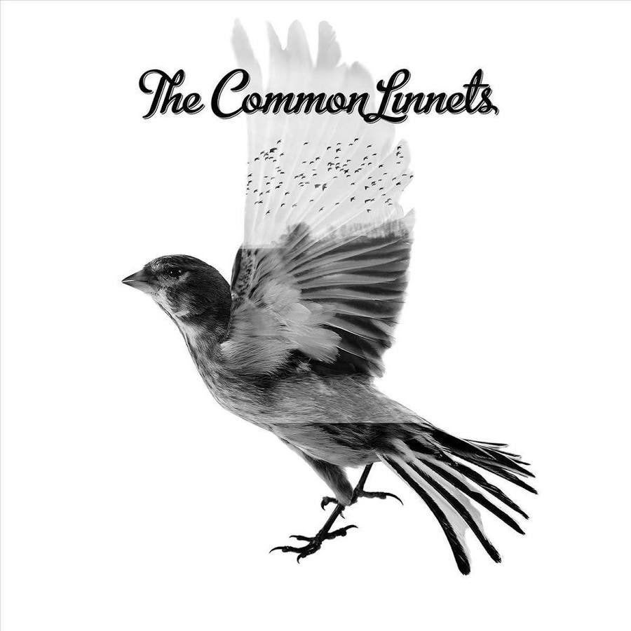 The common linnets – the common linnets cd 378 009-5, Verzenden, Zo goed als nieuw, Poprock