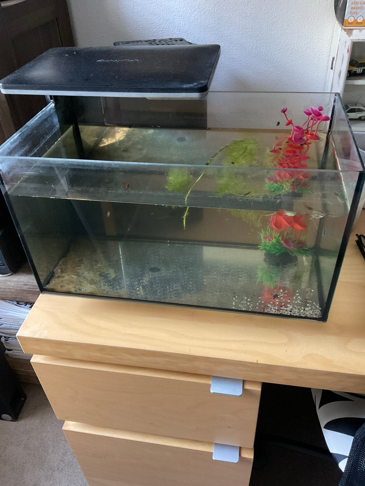 Superfish aquarium, Ophalen, Gebruikt, Gevuld zoetwateraquarium, Superfish