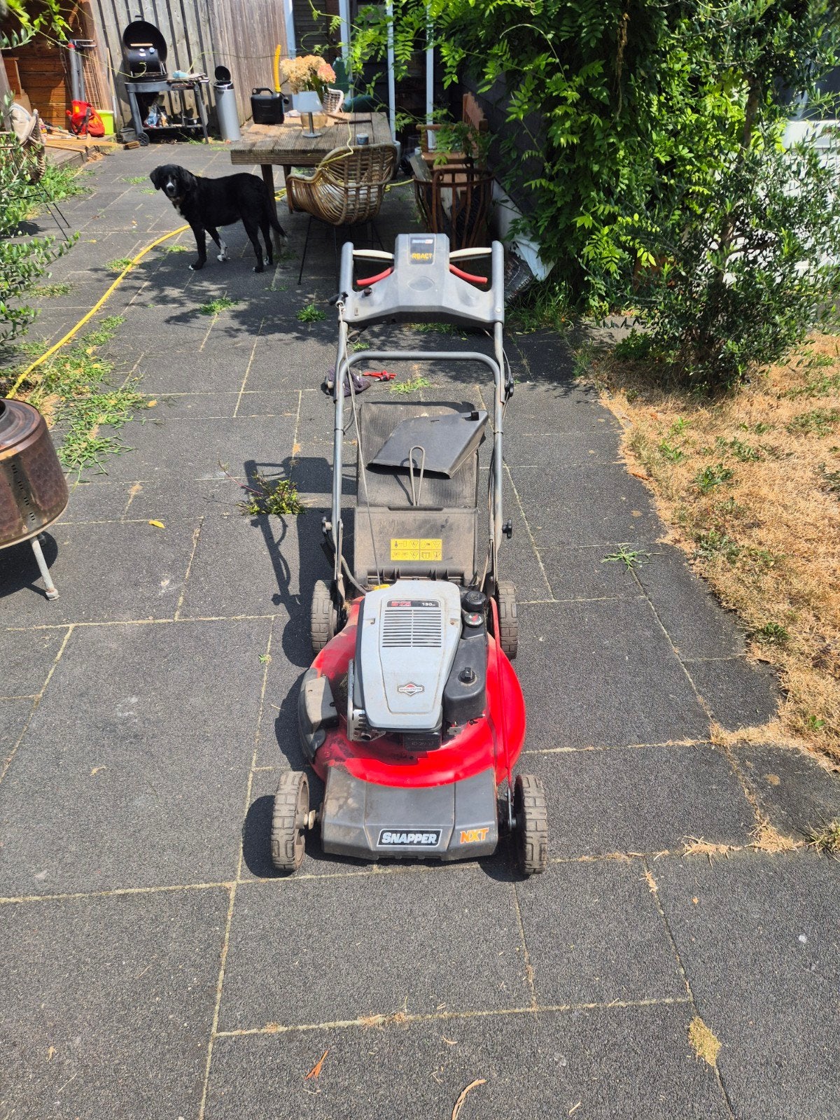 Snapper grasmaaier met Briggs & Stratton 190cc motor, Ophalen, Gebruikt, Benzine-grasmaaier, Snapper