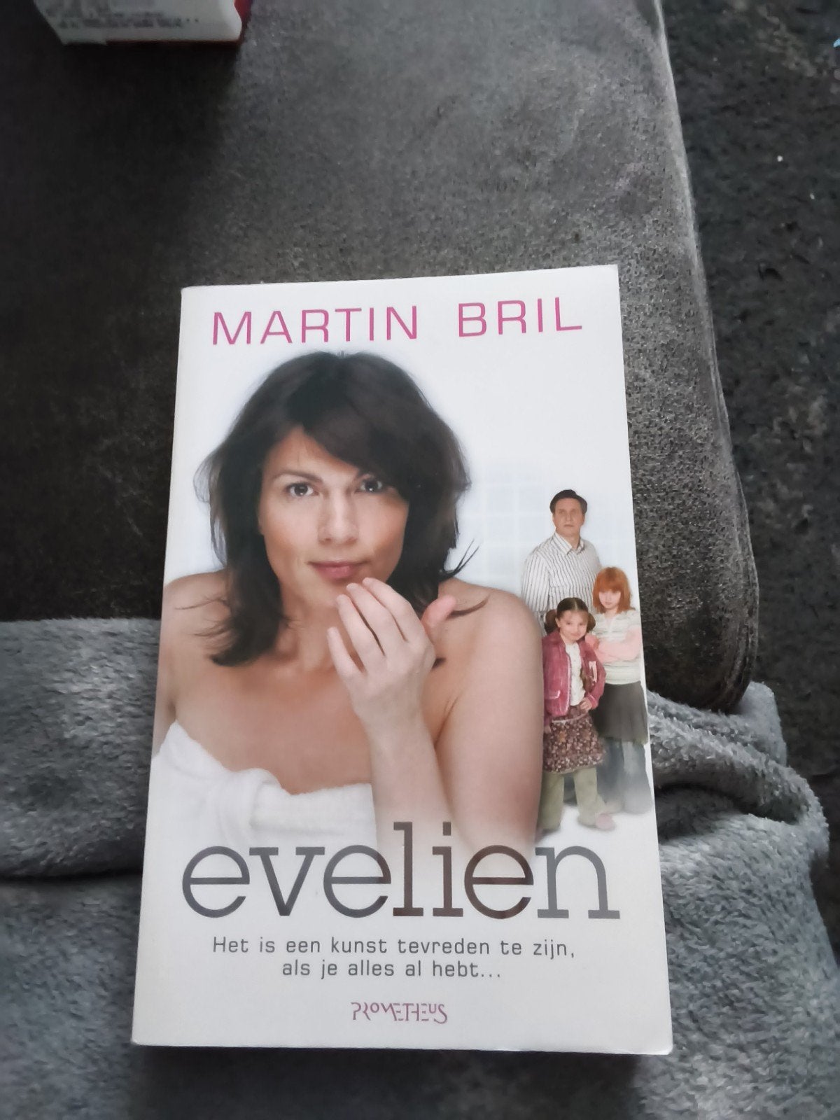 Evelien - Martin Bril (Paperback), Ophalen of Verzenden, Gelezen, Martin Bril, Nederland