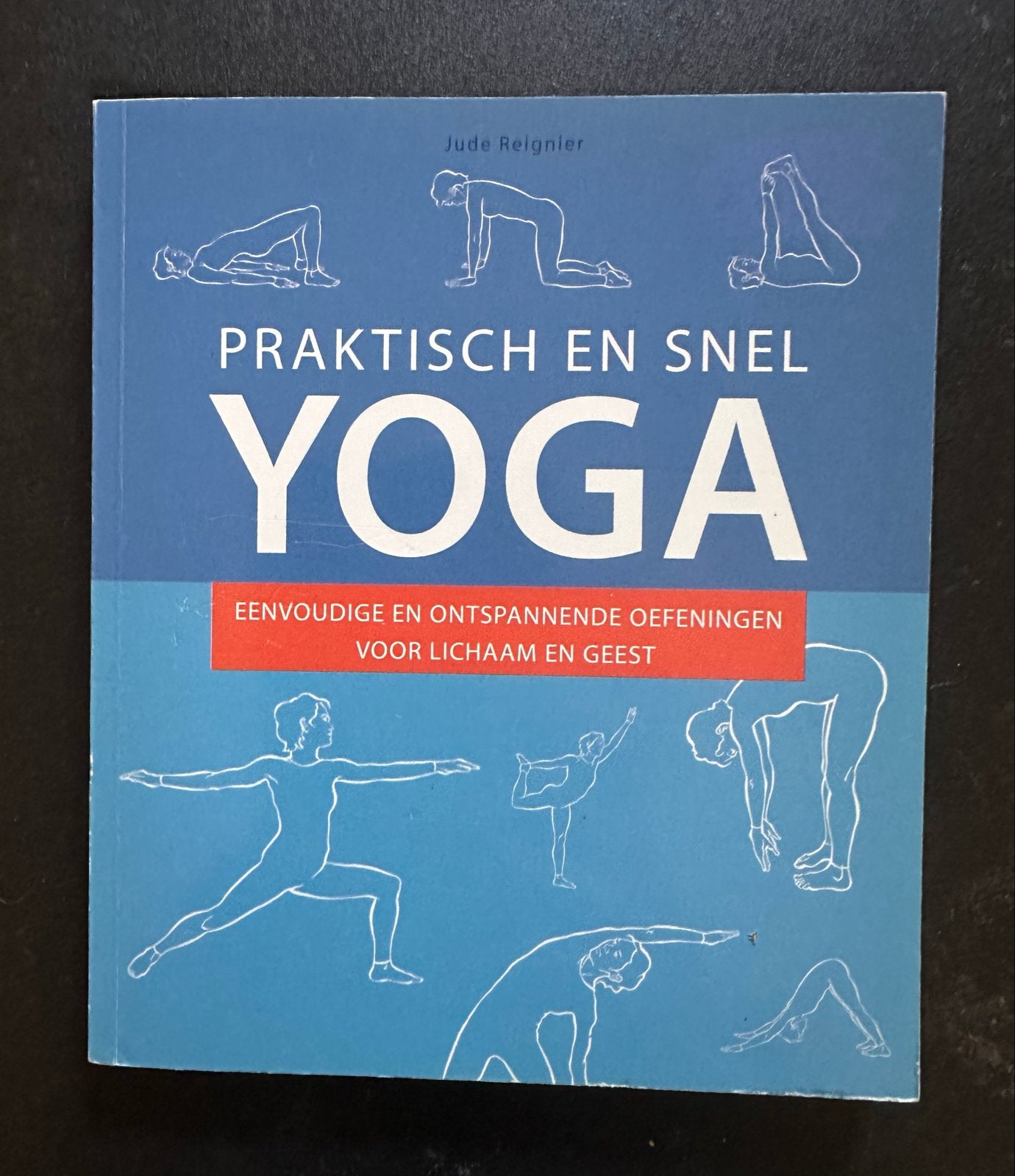 Praktisch en Snel Yoga Gids - Jude Reignier, Ophalen of Verzenden, Gebruikt