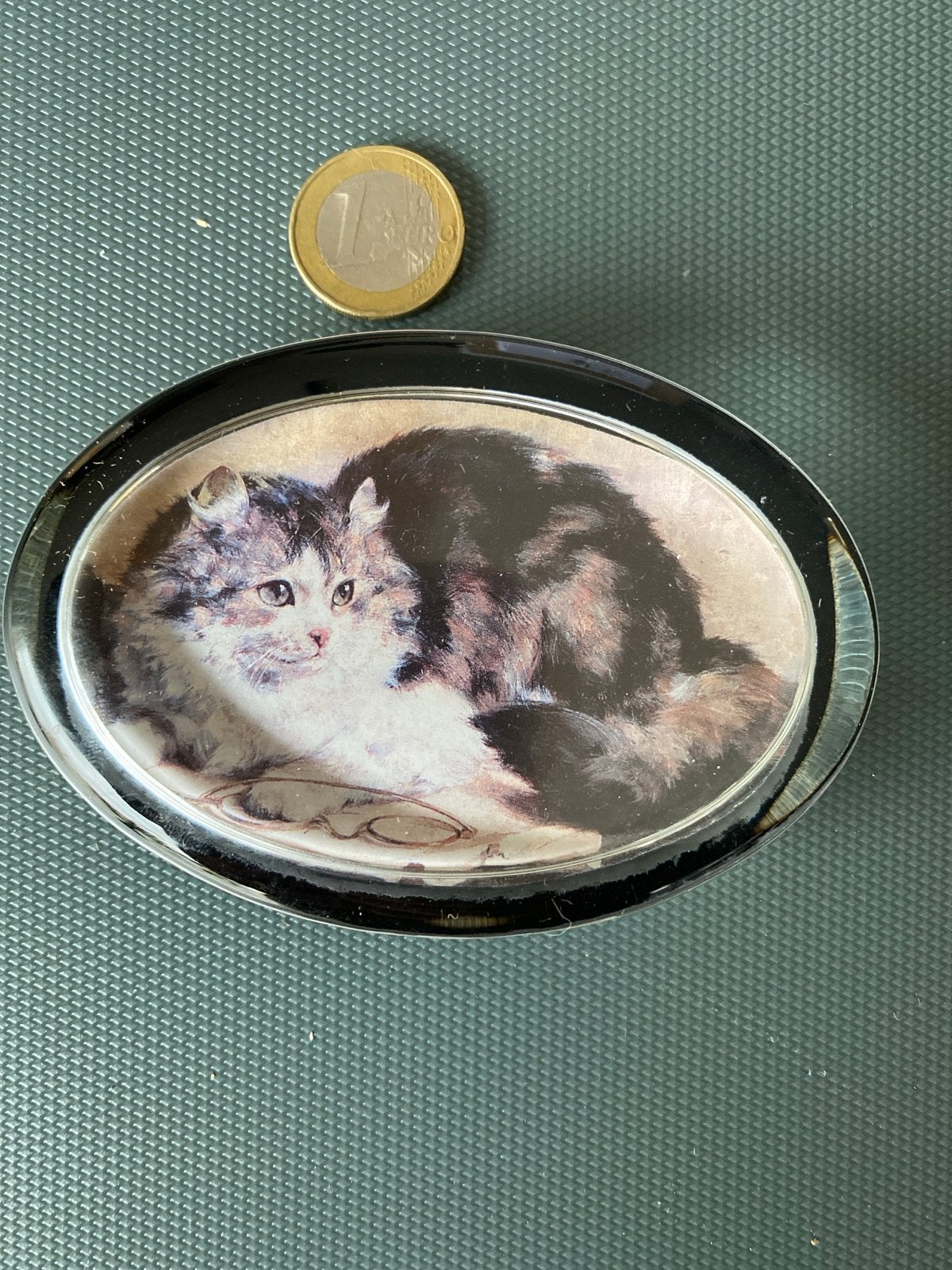 Glazen presse-papier met kattenafbeelding, Verzenden, Zo goed als nieuw, Meerkleurig, Glas
