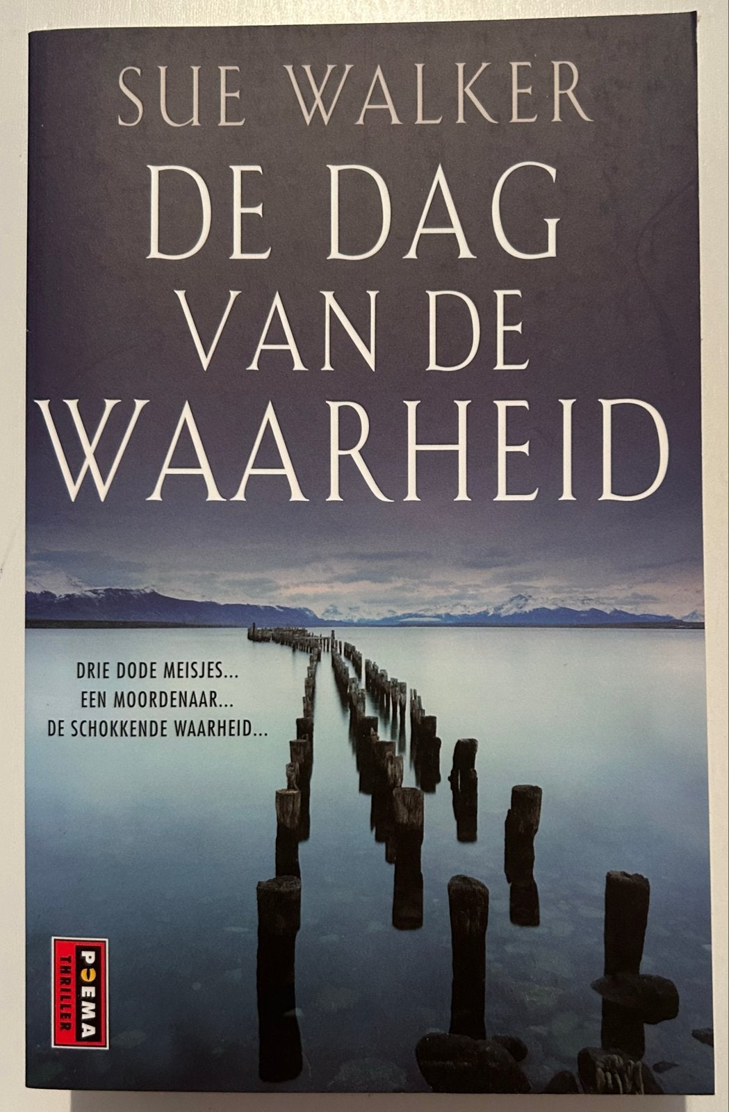 De Dag van de Waarheid - Sue Walker (Thriller), Ophalen of Verzenden, Zo goed als nieuw, Europa overig