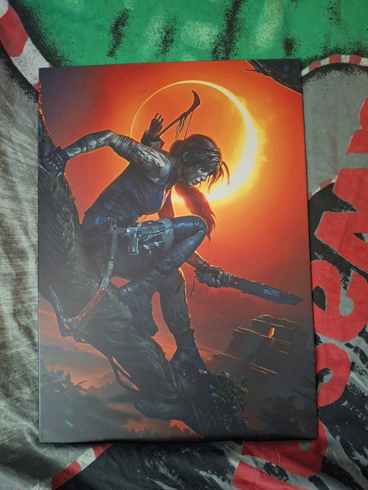 metal displate shadow of the tombraider, Rechthoekig Staand, Ophalen of Verzenden, Zo goed als nieuw, A1 t/m A3