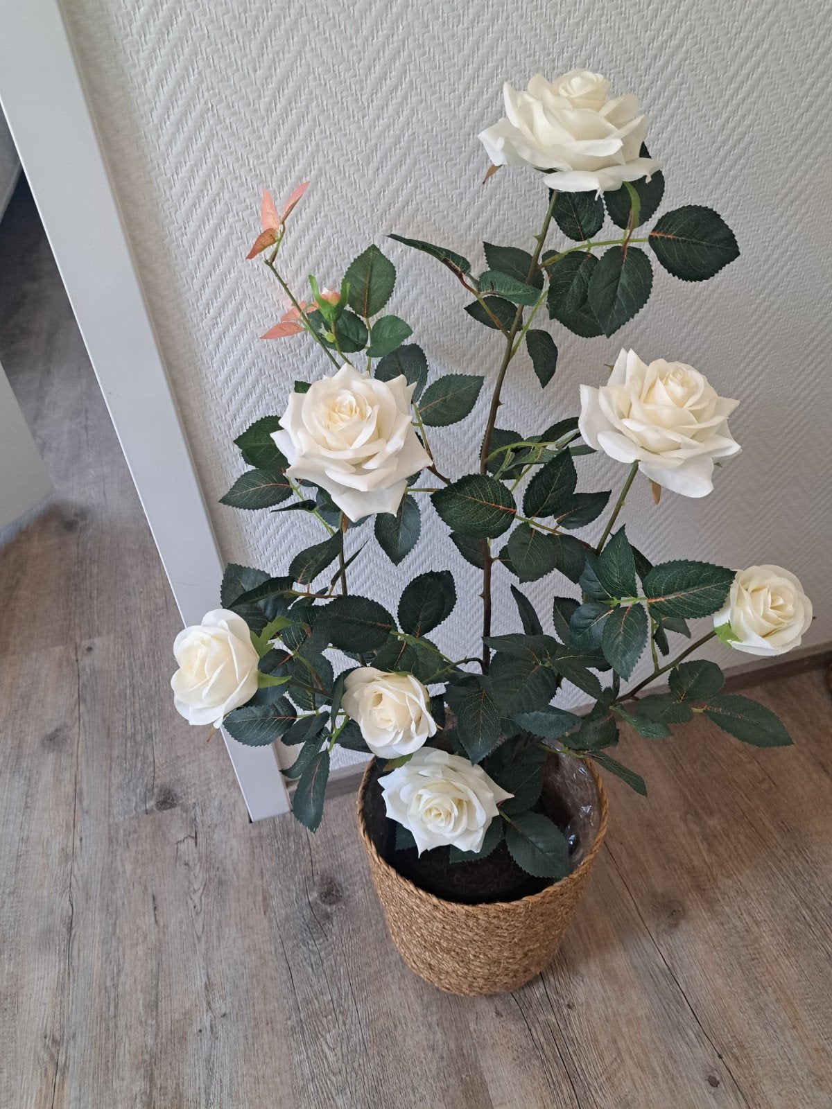 Kunstplant Witte Rozen in Mand, Ophalen
