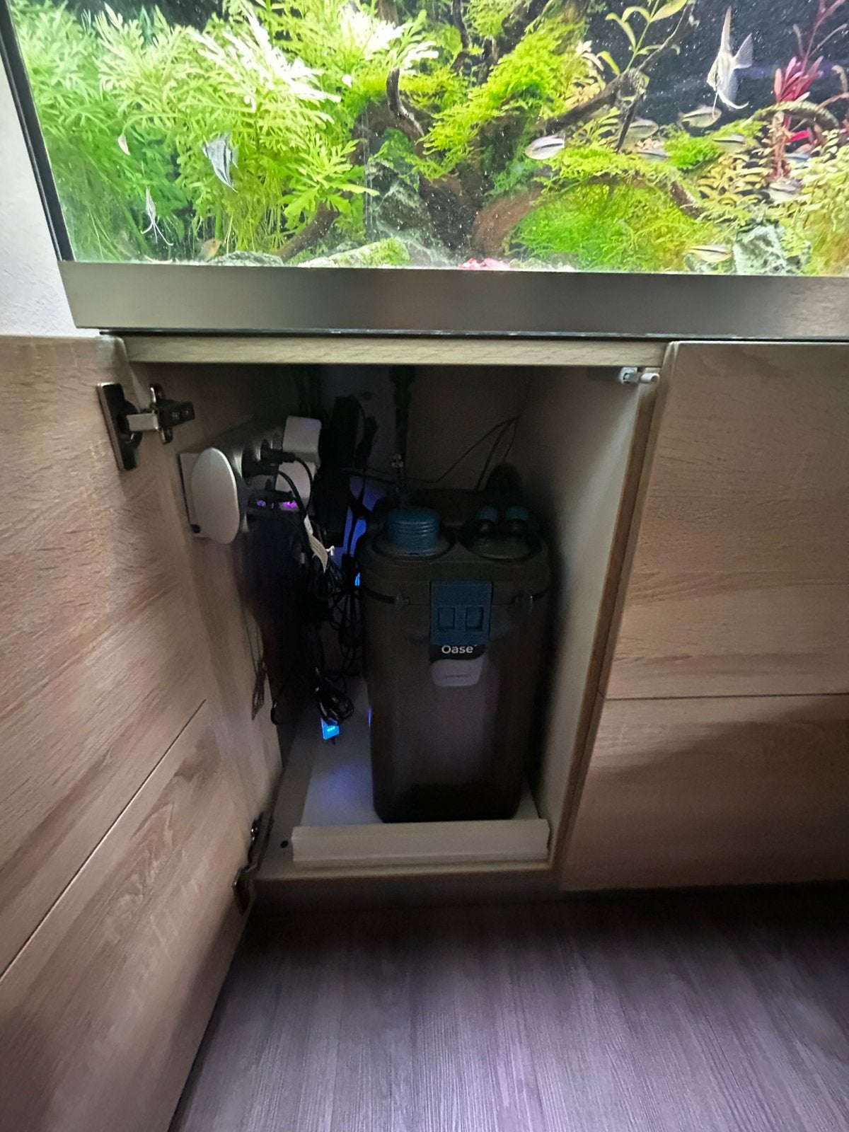 Oase highline 200 wild eiken, Dieren en Toebehoren, Ophalen, Zo goed als nieuw, Gevuld zoetwateraquarium