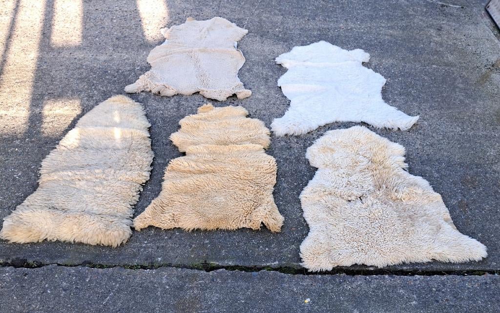 Vacht vachten schapenvachten decoratie, Verzenden