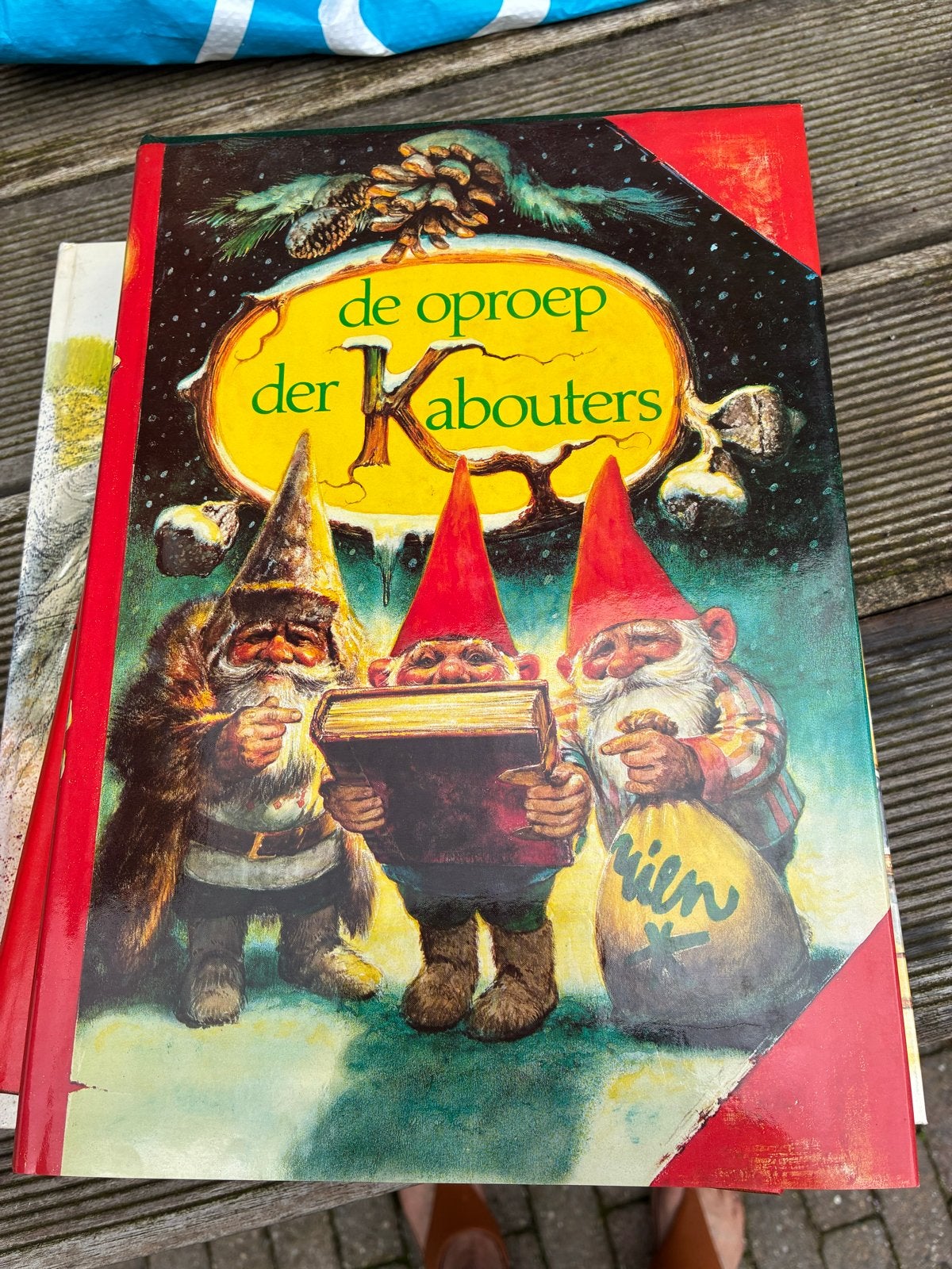 De Oproep der Kabouters - Prachtig Geïllustreerd Boek, Ophalen of Verzenden, Zo goed als nieuw, Sprookjes