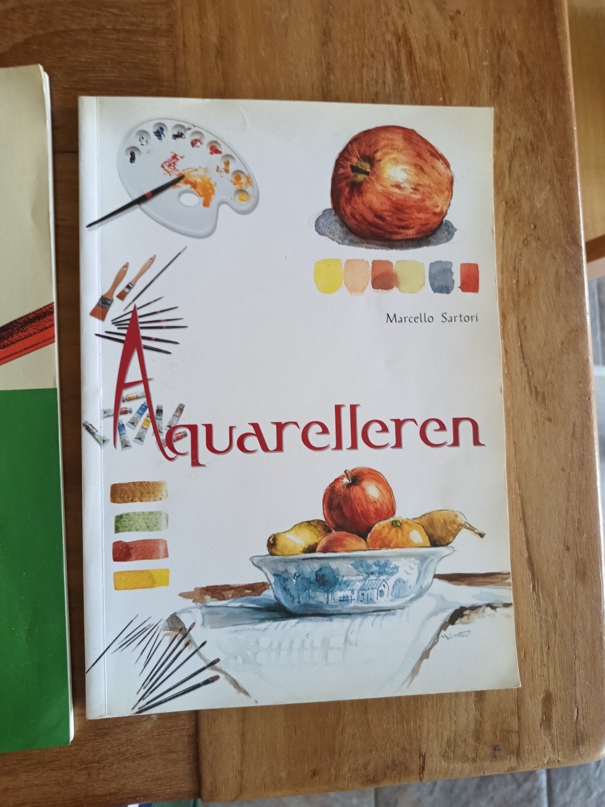 M. Sartori - Aquarelleren, Ophalen of Verzenden, Zo goed als nieuw, M. Sartori