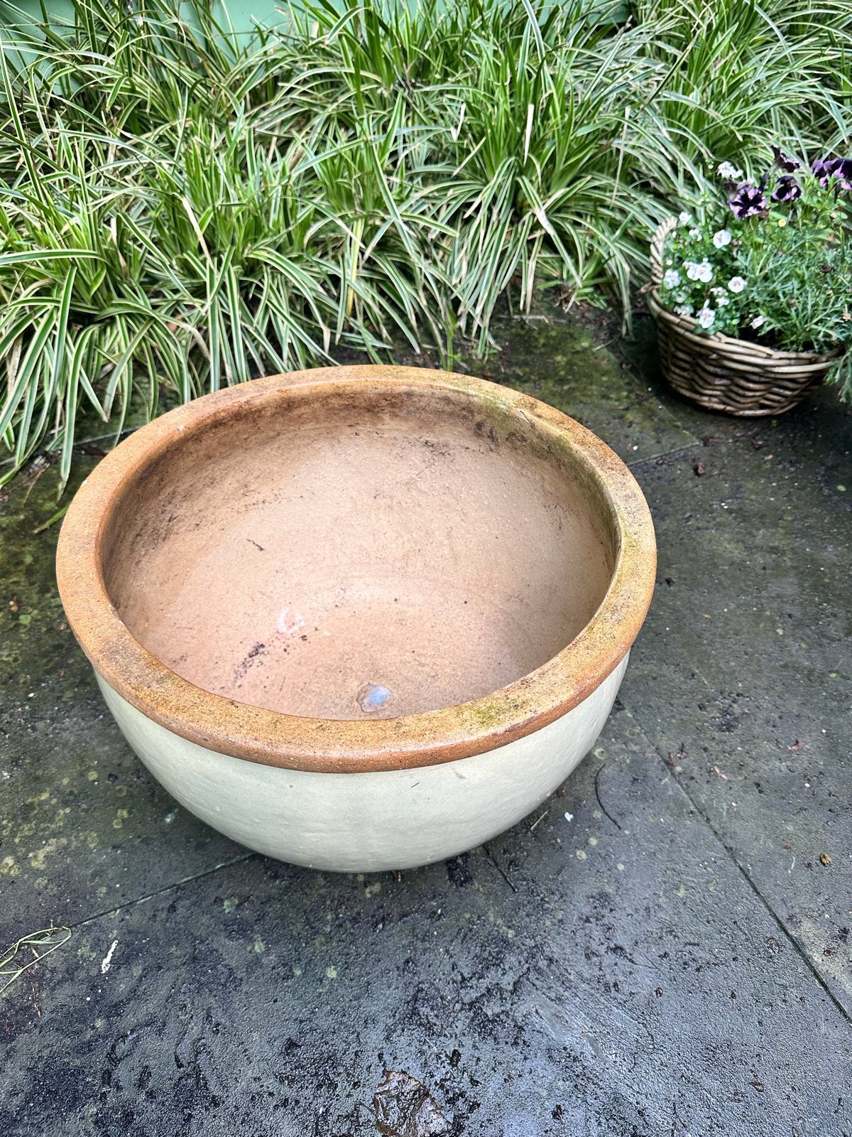 Grote ronde terracotta bloempot, Ophalen, Gebruikt, 40 cm of meer, Rond