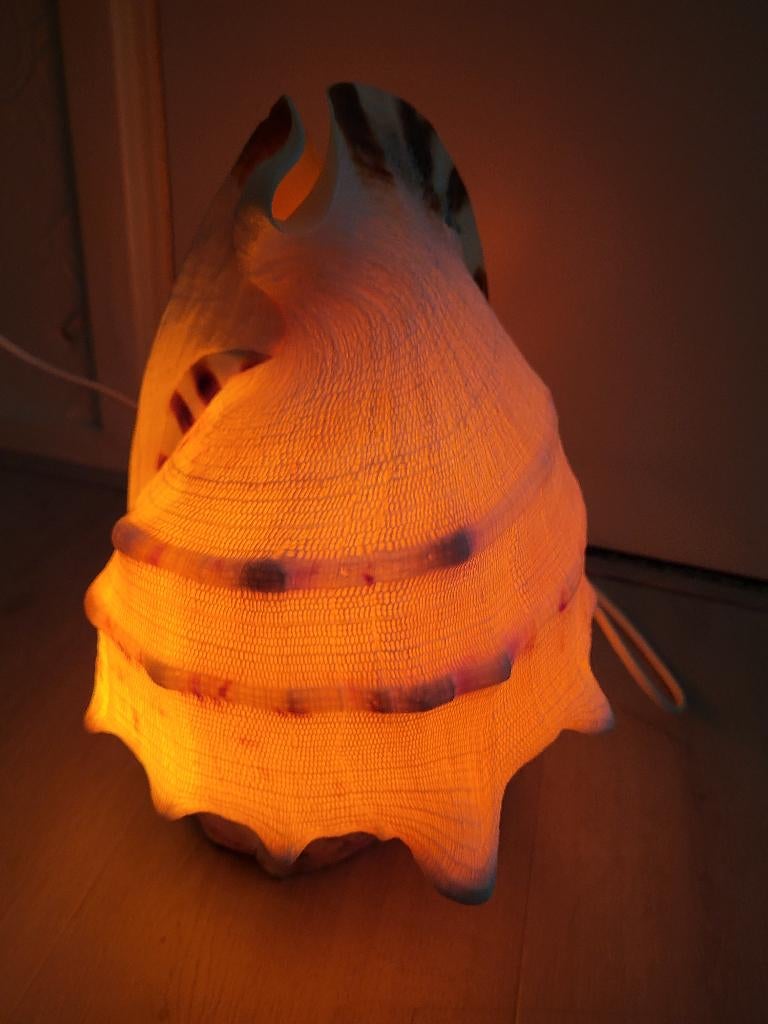 schelp lamp, Huis en Inrichting, Ophalen of Verzenden, Zo goed als nieuw, Overige materialen, Minder dan 50 cm