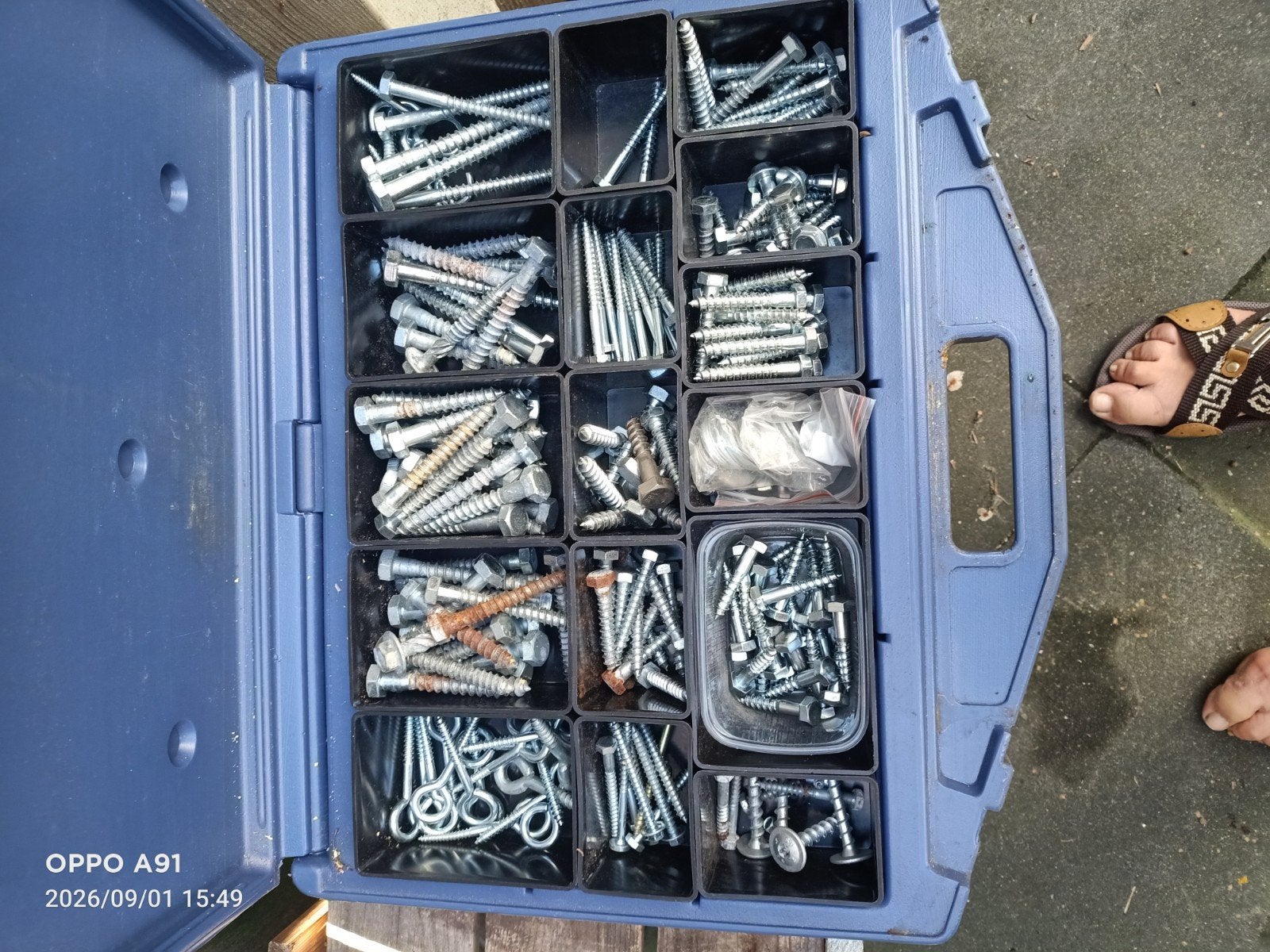 Grote assortimentsdoos met diverse schroeven en pluggen, Ophalen of Verzenden, Gebruikt, Minder dan 50 mm, Schroeven