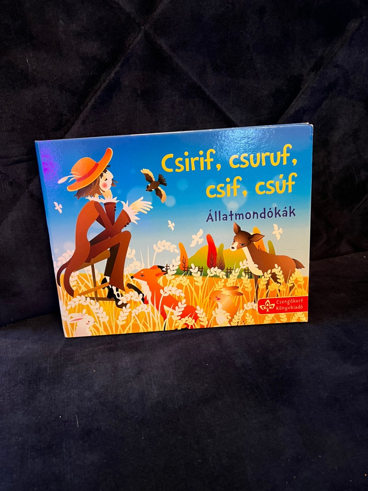 Csirif-csuruf, csif, csuf - Hongaars kinderboekje/gedichtjes, Boeken, Ophalen of Verzenden, Zo goed als nieuw