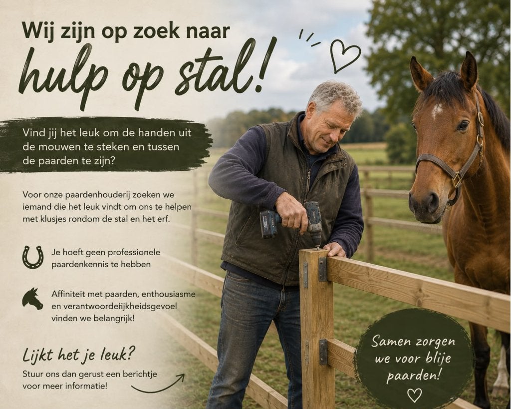 Klusjesman/vrouw tussen de paarden gezocht!
