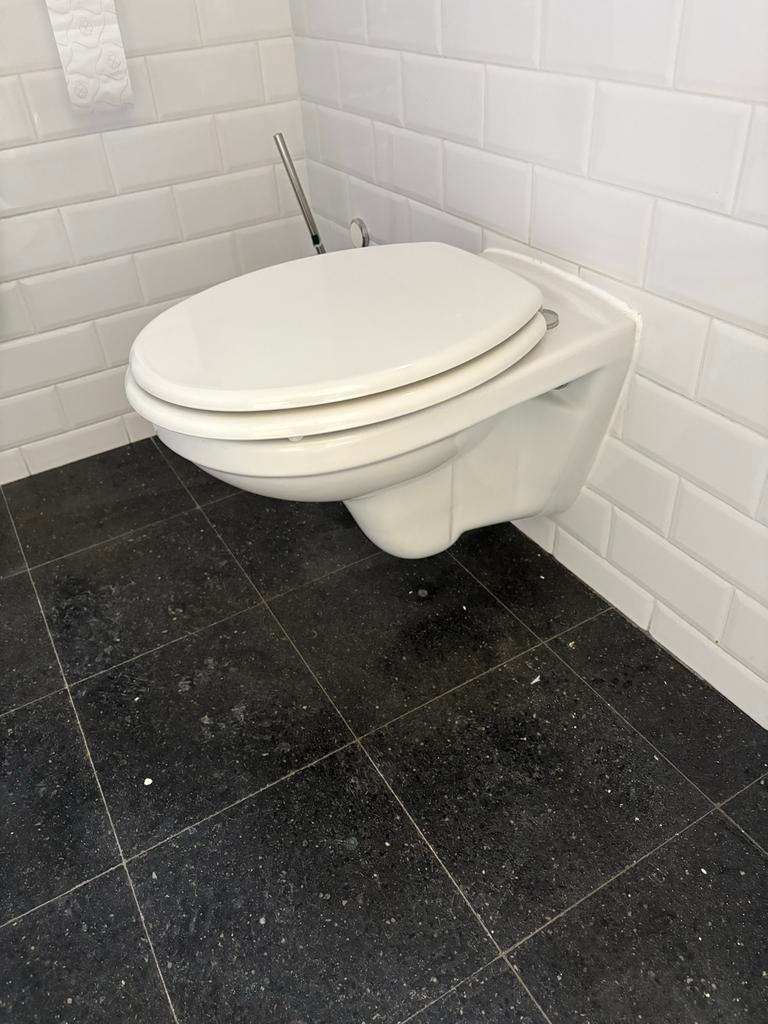 Wandcloset met toiletbril, Doe-het-zelf en Verbouw, Sanitair, Ophalen, Gebruikt, Toilet