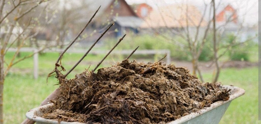 Gratis paarden mest, Tuin en Terras, Ophalen