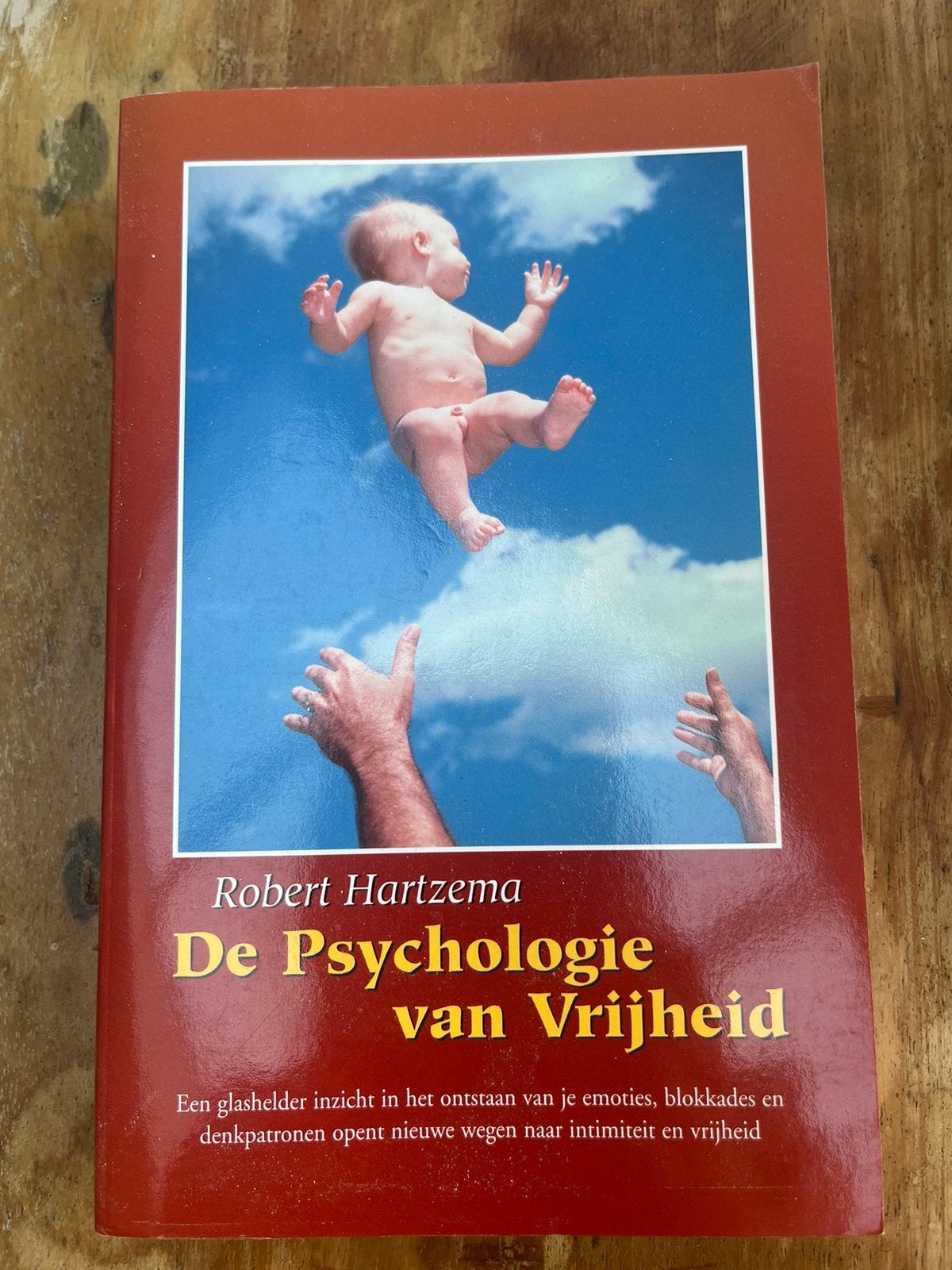 Robert Hartzema - De Psychologie van Vrijheid, Ophalen of Verzenden, Zo goed als nieuw, Robert Hartzema