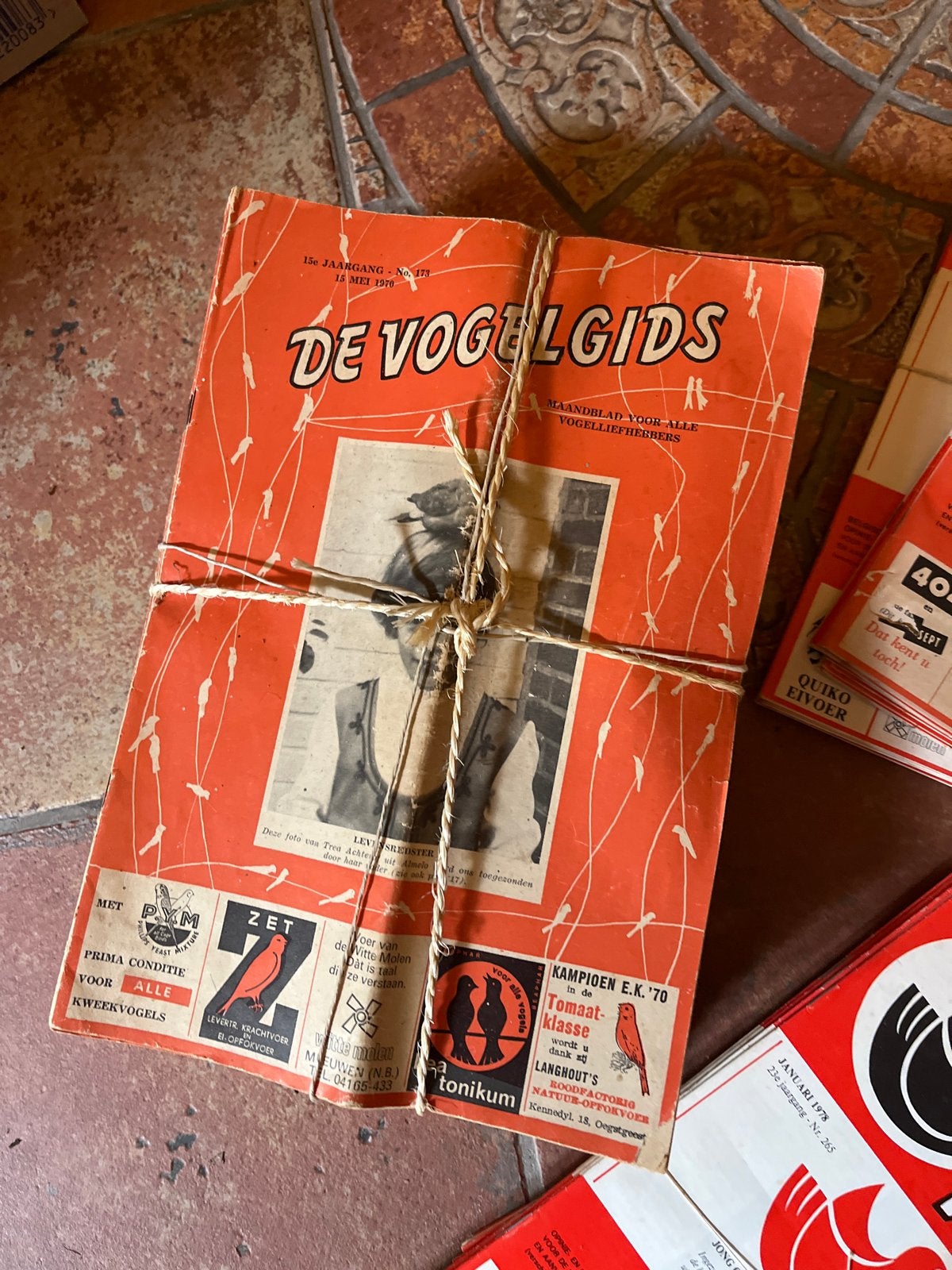 De Vogelgids - Oude jaargangen tijdschriften, Ophalen of Verzenden, Gelezen, Overige typen