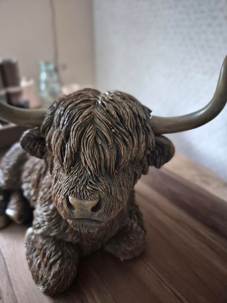 Schotse Hooglanders verkrijgbaar in twee maten, Helene Livingstyle, Helenelivingstyle@gmail.com, 7531TJ, Nieuw