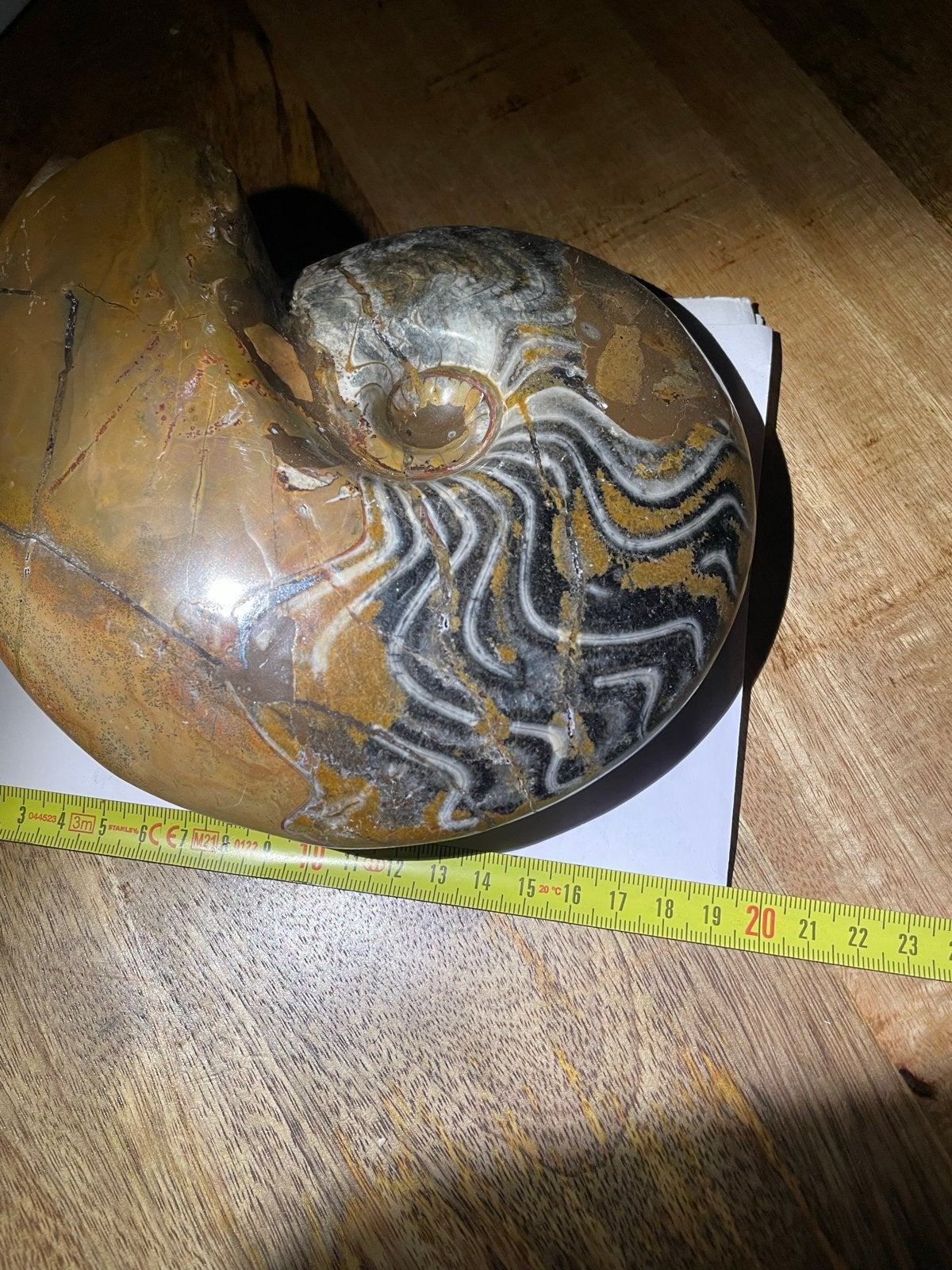 Grote Ammoniet Fossiel - 2.2 kg, 18x20x5 cm, Ophalen of Verzenden, Fossiel