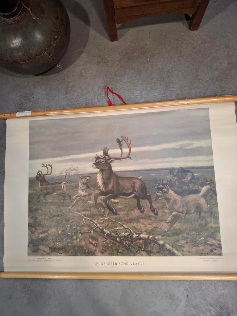 schoolkaart 'In de Siberische Vlakte' - M.A. Koekkoe, Antiek en Kunst, Ophalen of Verzenden