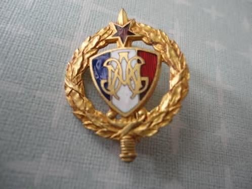 Franse insigne,  initiales A.G.M.G et étoile des blessés., Verzenden, Overige soorten, Overige gebieden, Embleem of Badge