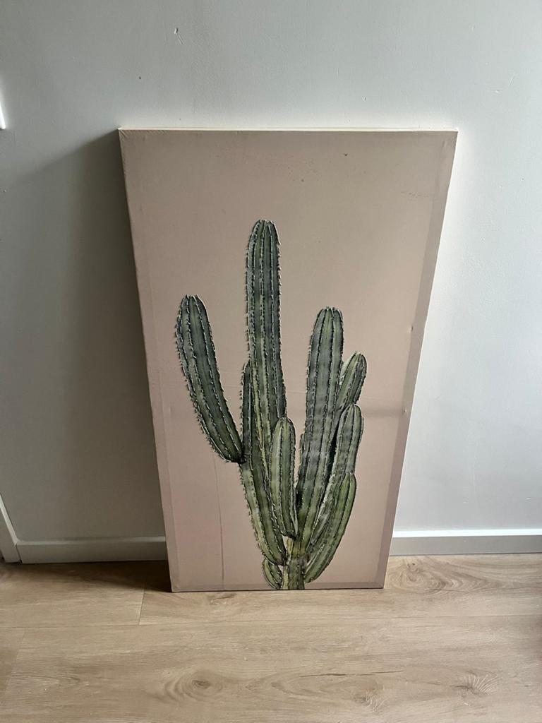 Canvas cactus met glitters 50x100cm, Ophalen, Gebruikt, Schilderij, Minder dan 50 cm
