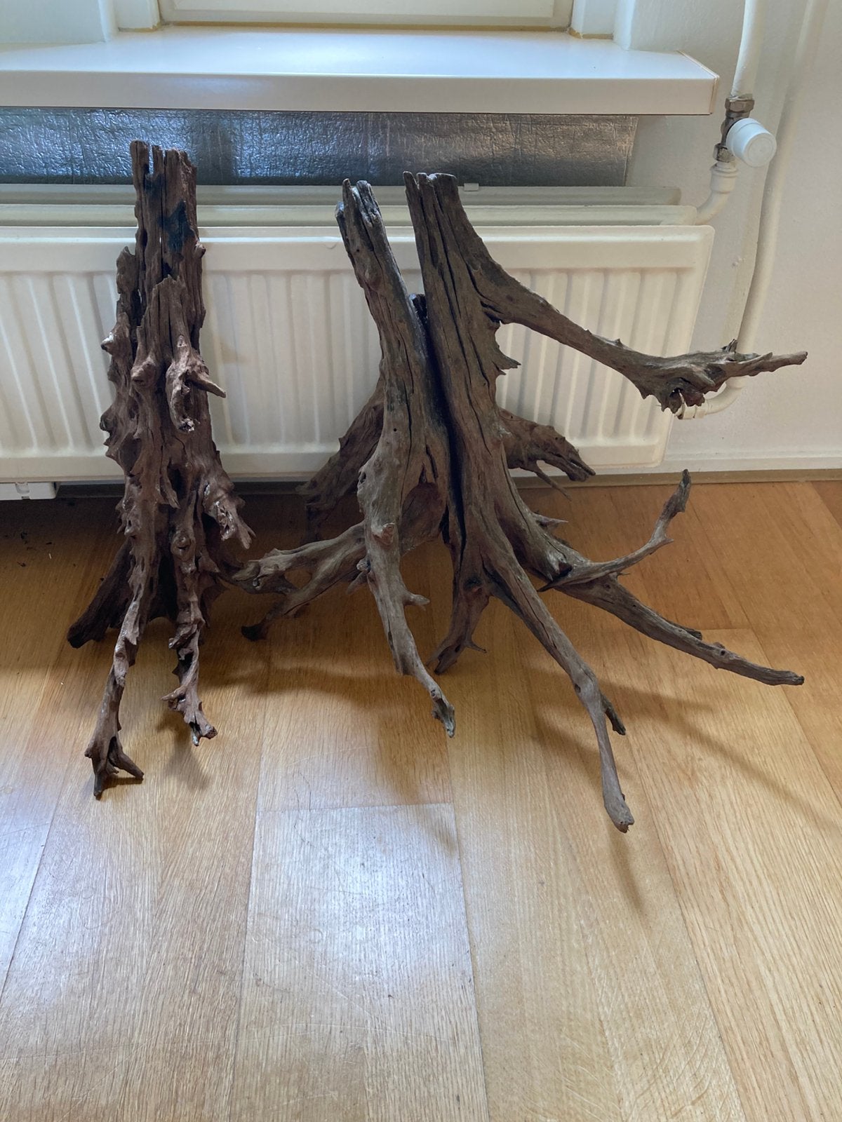 Grote boomstronk uit 2 delen, Ophalen, Nieuw, Plant(en), Steen of Hout