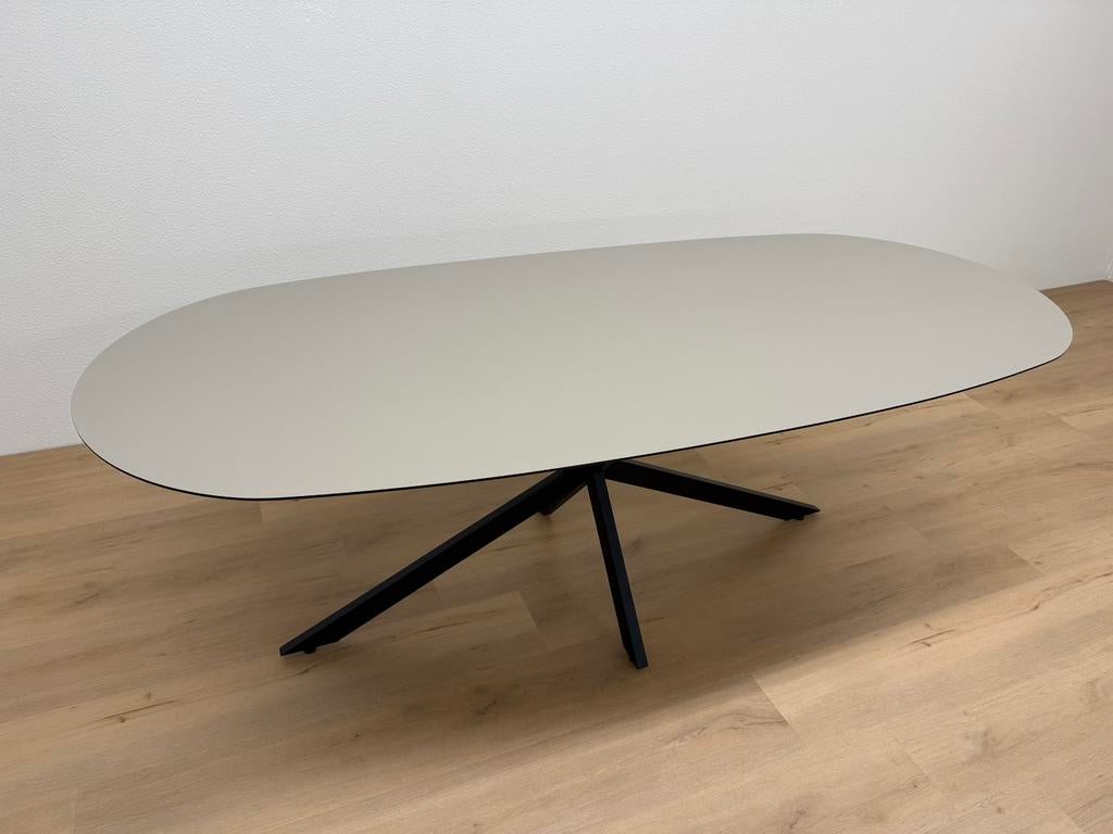 Plat ovale eettafel HPL 220x100 Beige - Direct Leverbaar, 100 tot 150 cm, 200 cm of meer, Ophalen of Verzenden, Zo goed als nieuw