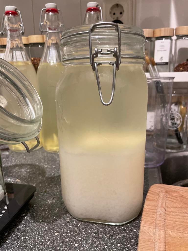 Gratis Waterkefir korrels, Ophalen